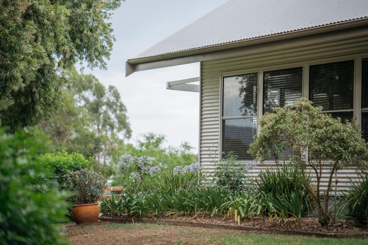 Elfin Hill Vineyard Accommodation بوكولبن المظهر الخارجي الصورة