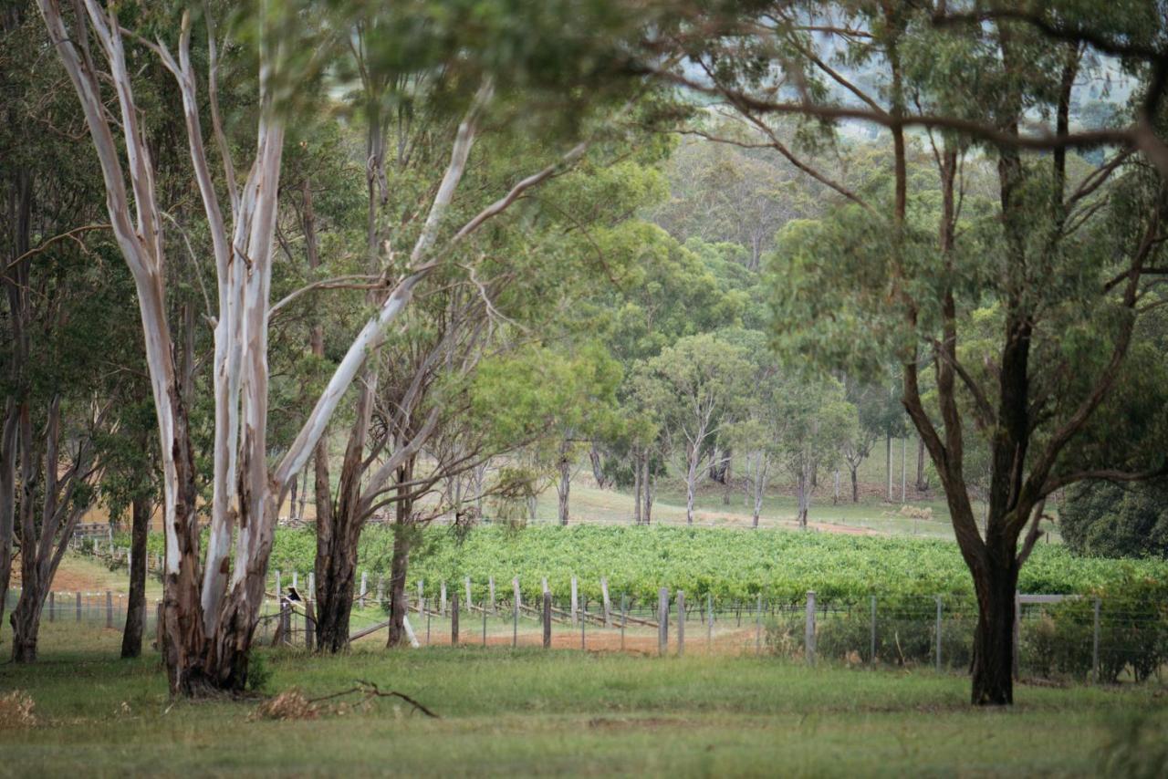 Elfin Hill Vineyard Accommodation بوكولبن المظهر الخارجي الصورة