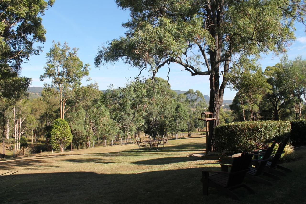 Elfin Hill Vineyard Accommodation بوكولبن المظهر الخارجي الصورة