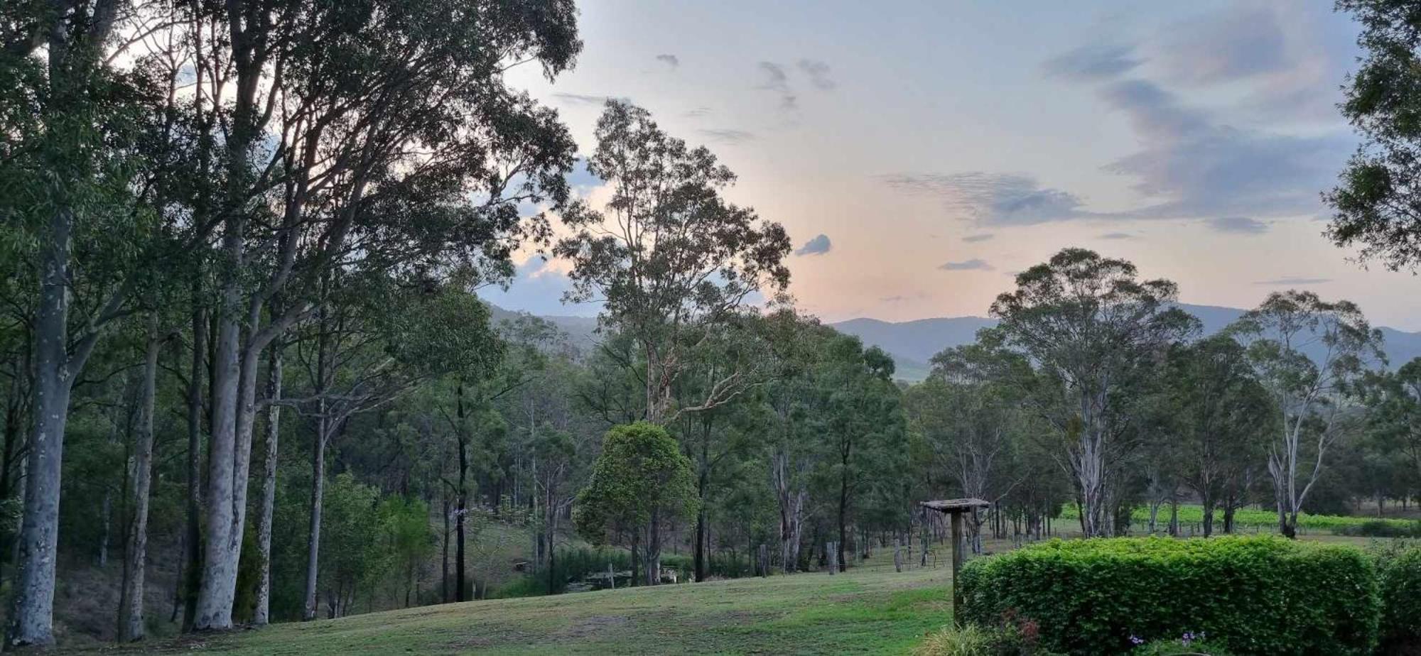 Elfin Hill Vineyard Accommodation بوكولبن المظهر الخارجي الصورة