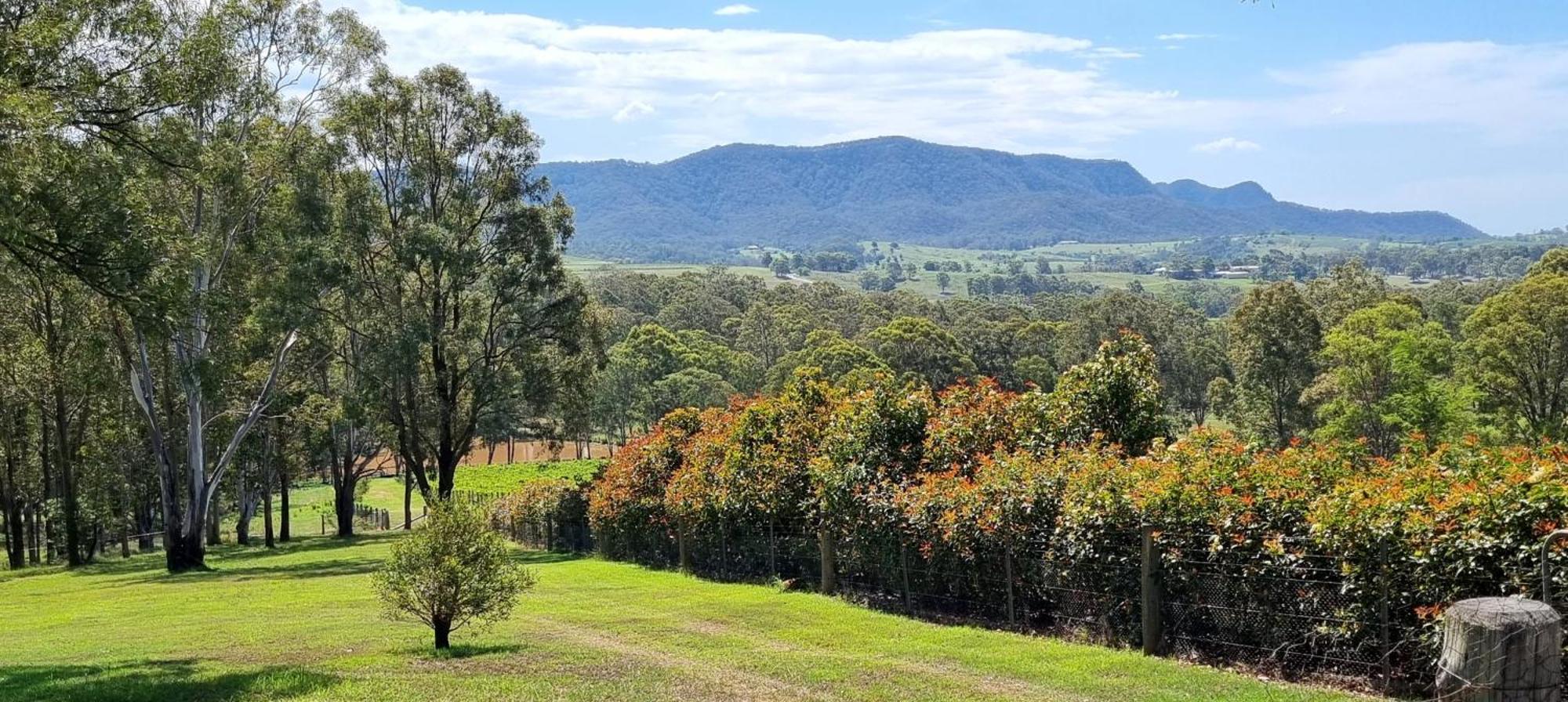 Elfin Hill Vineyard Accommodation بوكولبن المظهر الخارجي الصورة