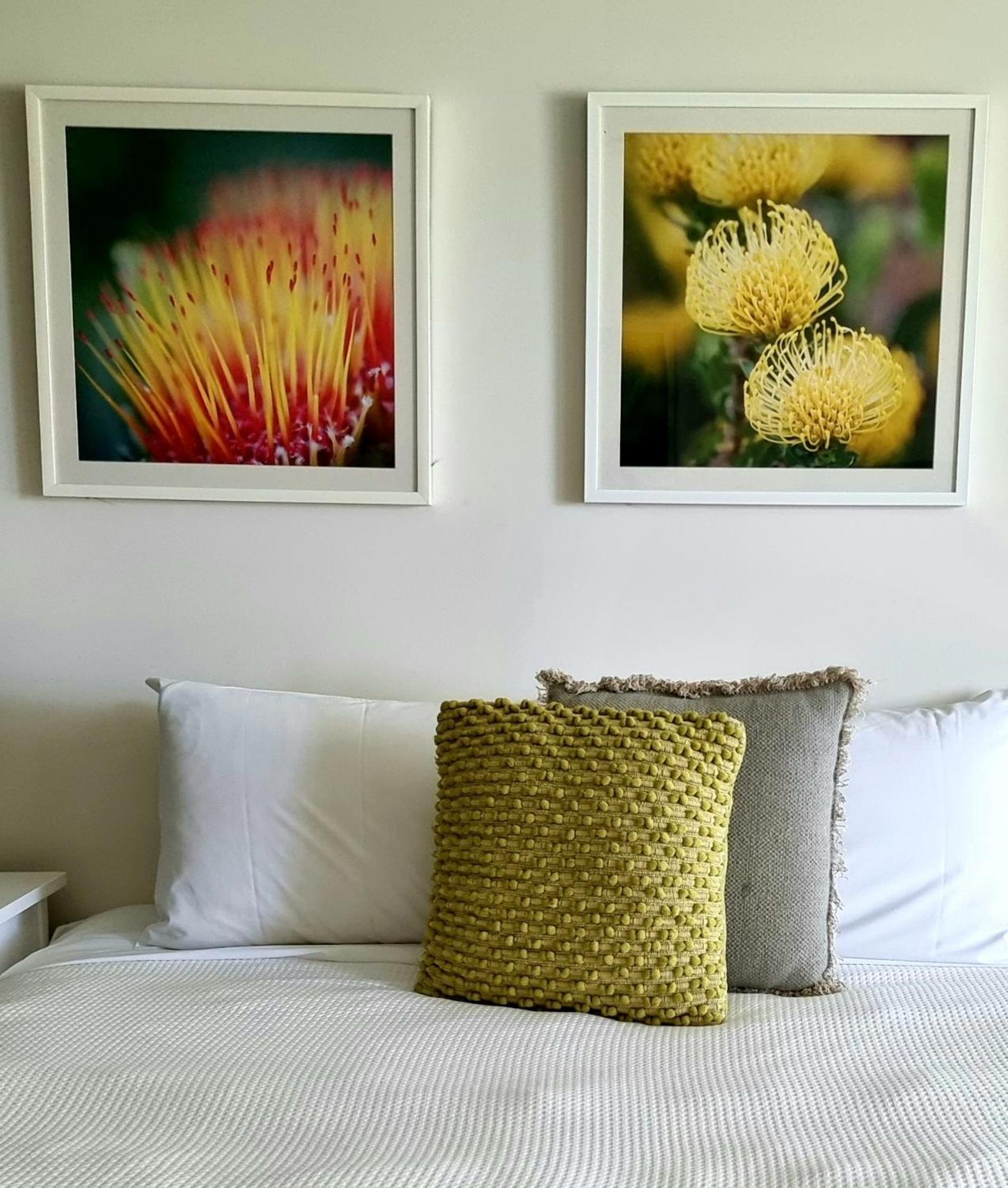 Elfin Hill Vineyard Accommodation بوكولبن المظهر الخارجي الصورة
