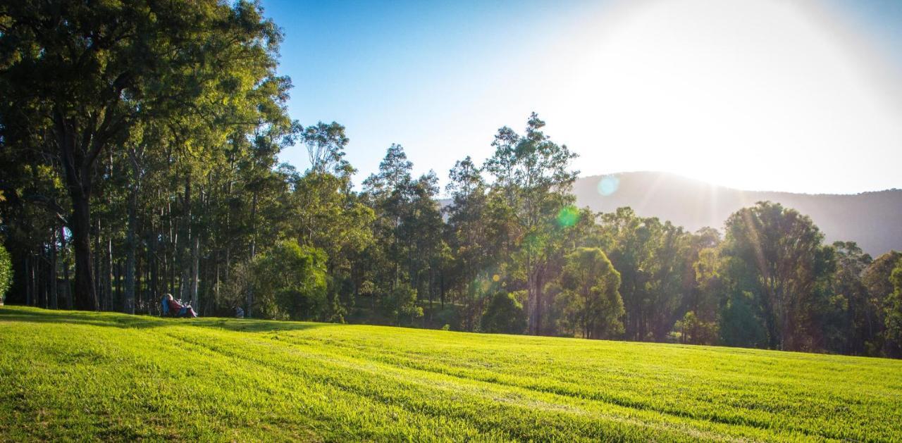 Elfin Hill Vineyard Accommodation بوكولبن المظهر الخارجي الصورة