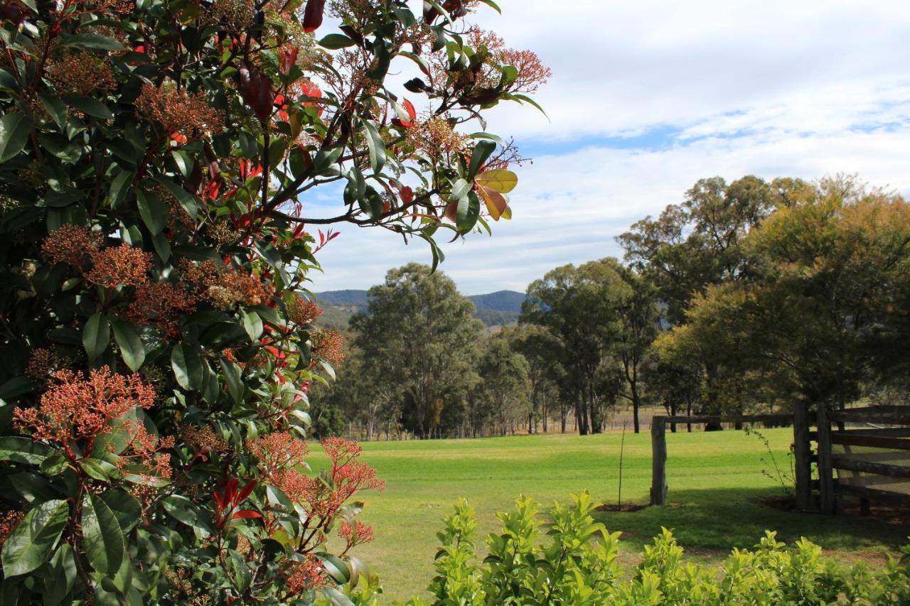 Elfin Hill Vineyard Accommodation بوكولبن المظهر الخارجي الصورة