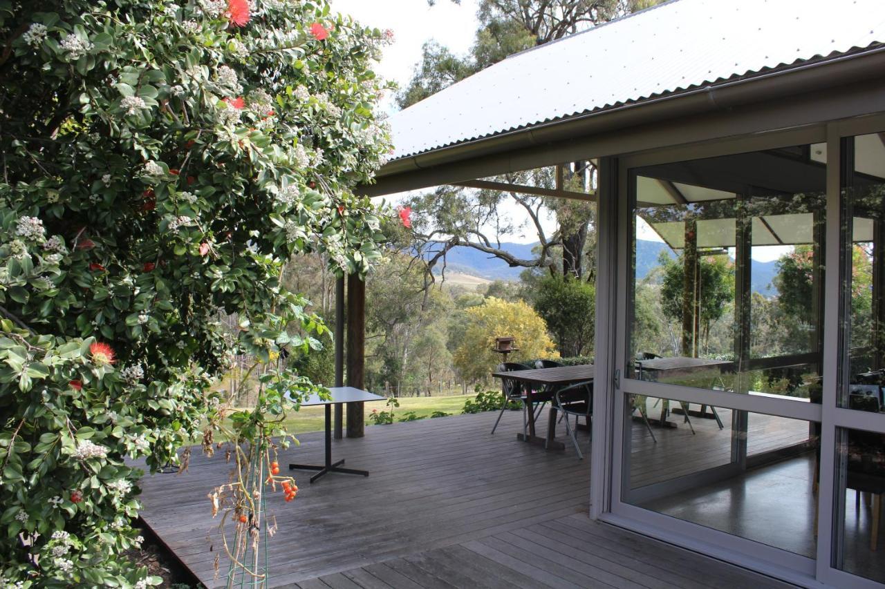 Elfin Hill Vineyard Accommodation بوكولبن المظهر الخارجي الصورة